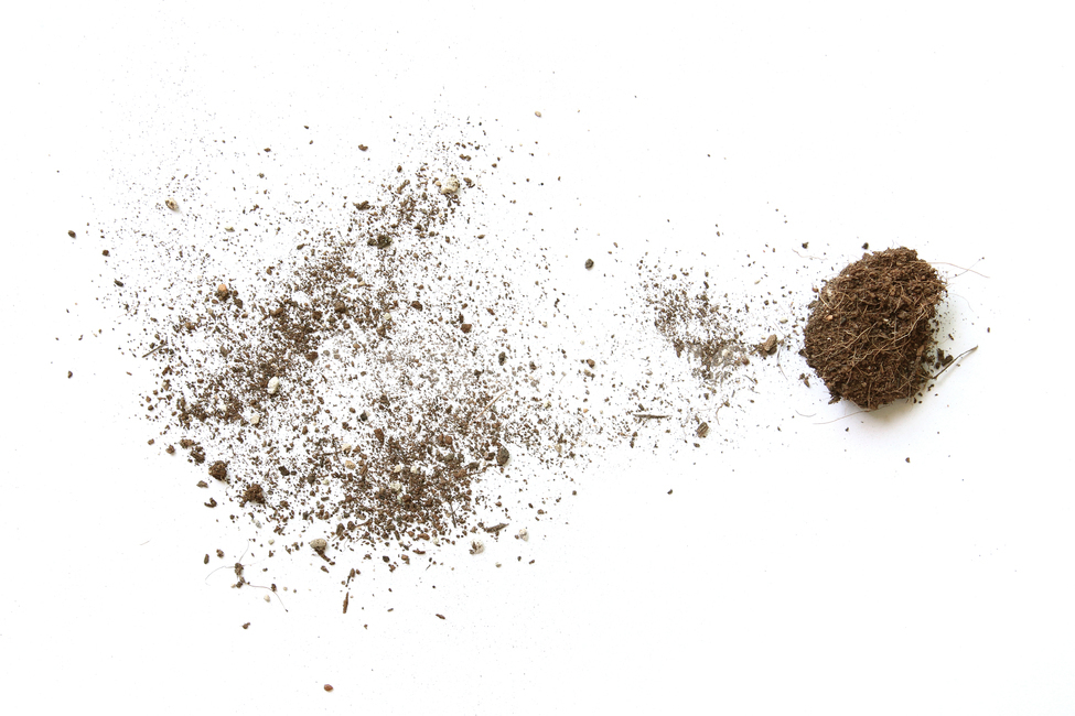 흙,모래,soil,sand,soiltexture,덩어리,탑앵글,흰배경,누끼,가루,흙가루,모래가루,갈색,브라운,텍스춰,건조한,black,botany,brown,closeup,compost,dark,dirt,dirty,dry,dust,grain,heap,humus,ingredient,macro,mineral,nobody,object,organic,path,powder,splash,spray,texture,topview,toxic,뿌린,누끼,remove background
