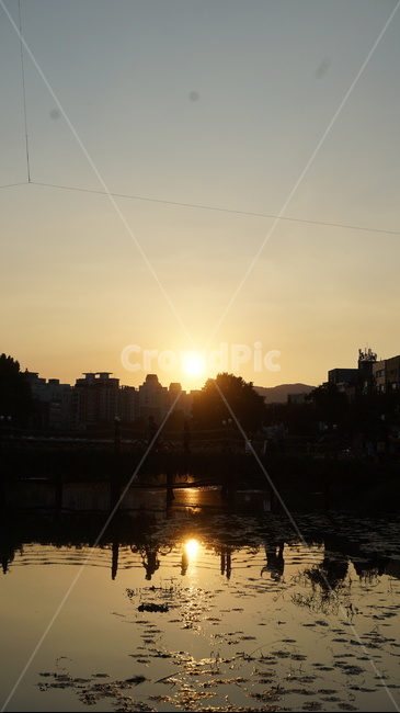 flare,플레어,light,빛,sunlight,햇빛,유림공원,노을