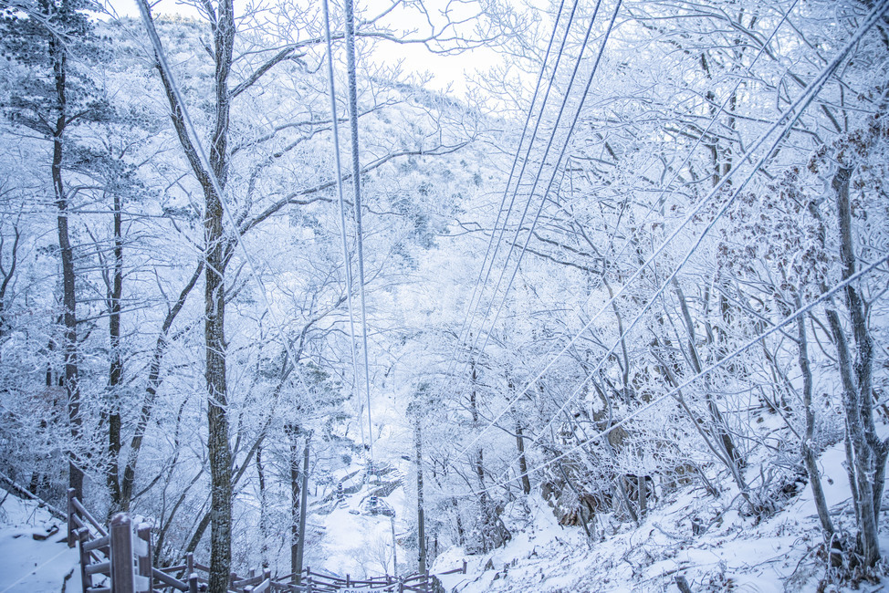 겨울풍경,태백산,겨울,상고대,설산,눈꽃,겨울산,산,겨울푸경,풍경,nature,자연,snow,눈,frost,겨울,계절,winter,season,자연,풍경,nature,landscape