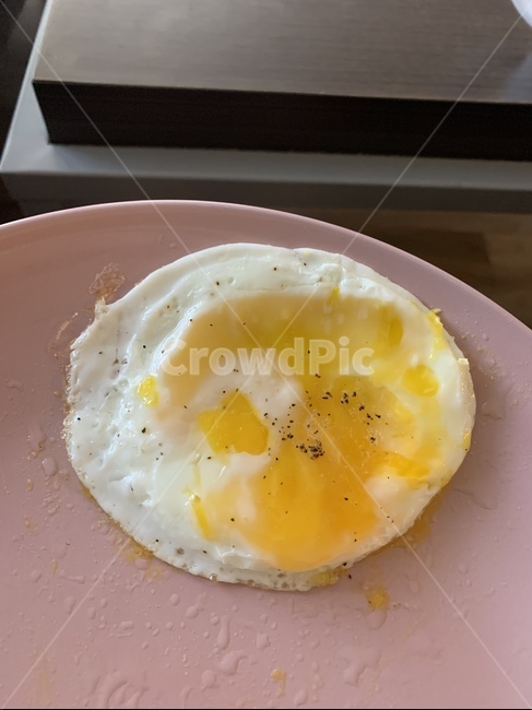 egg,계란,음식,계란후라이,계란프라이,노른자,흰자,단백질,자취음식,자취생