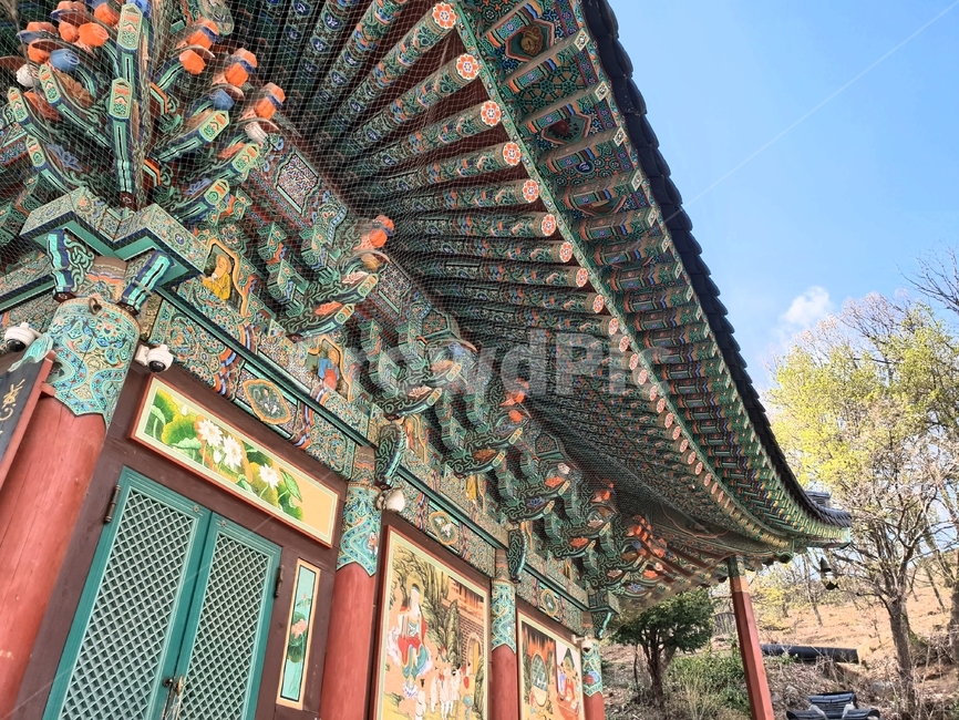 사찰,절,단청,불교,전통,한국,동양,문양,건축,종교,봉은사,한국전통,한국문화,korean traditional,korean culture,종교,신앙,religion,belief,faith,건축물,건물외관,exterior,building,structure,architecture,construction