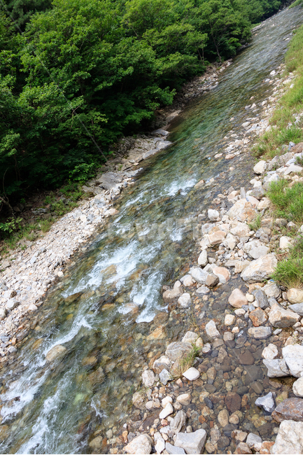 시냇물,강원도,여름,돌,환경,숲,물줄기,풍경,물,자연,풍경,nature,landscape,dirt road,흙길,gravel,자갈,road,도로,rubble,파편