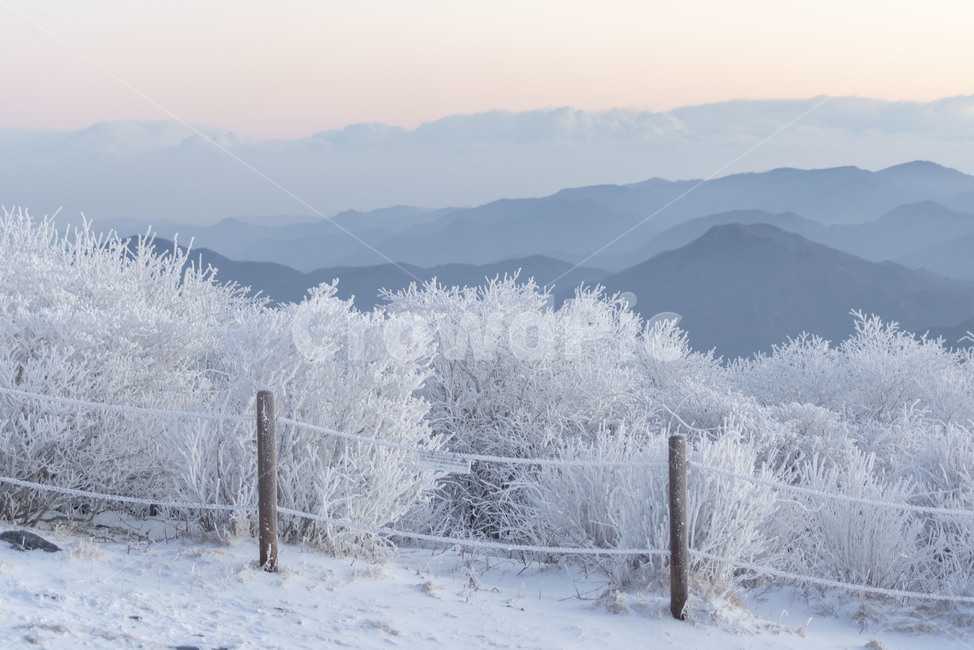 설산,태백산,겨울산,겨울,상고대,풍경,산,겨울풍경,눈꽃,nature,눈,자연,snow,겨울,계절,winter,season,자연,풍경,nature,landscape