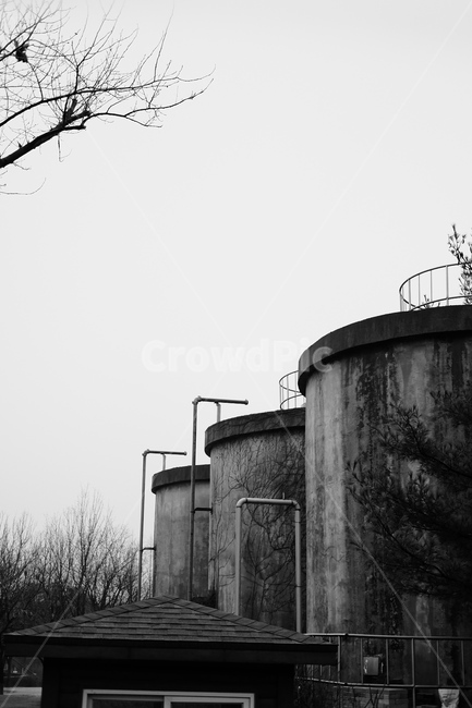 흑백,겨울,나무,tree,winter,bnw,흑백,모노톤,monochrome,black and white,건축물,건물외관,exterior,building,structure,architecture,construction