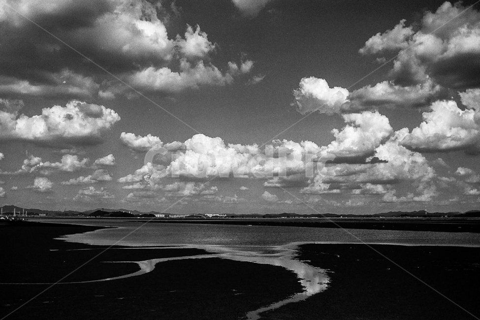 바다,갯벌,갯골,썰물,구름,하늘,바닷물,물길,풍경,자연,weather,날씨,nature,cumulus,적운,outdoors,옥외,cloud,sky