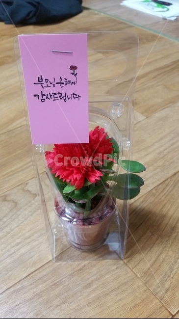 어버이날,카네이션,부모님은혜,꽃,아버지은혜