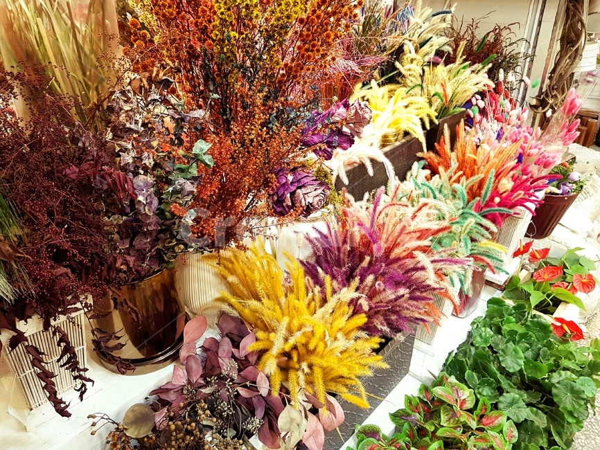 화훼,꽃들,드라이플라워,형형색색,꽃,컬러풀,꽃장식,화분,꽃,flower
