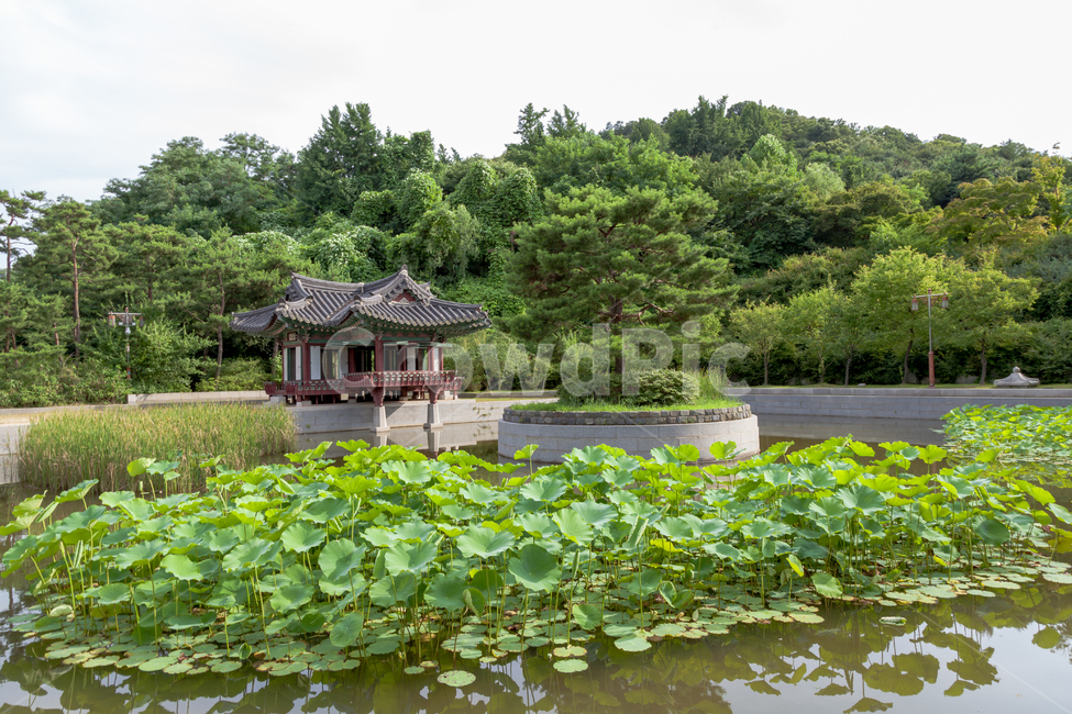 정원,뜰,정자,연못,평온,자연,아시아,한국,나무,숲,고요,하늘,구름,풍경,garden,nature,asian,tree,asia,green,pond,park,background,lake,water,calm,tranquility,beauty,peaceful,bush,plant,gardening,landscape,serenity,한국전통,한국문화,korean traditional,korean culture,건축물,건물외관,exterior,building,structure,architecture,construction