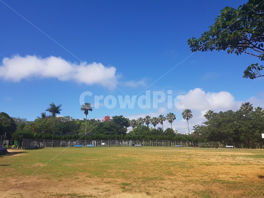 공원,하늘,잔디,나무,구름,평화로운,여유,맑음,여름,park,sky,grass,cloud,summer,peaceful,cloudy