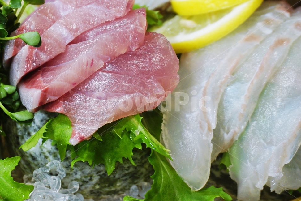 회,횟집,생선,사시미,모듬회,모둠회,음식,식재료,요리,food,cook,meal,dishes,food reserves