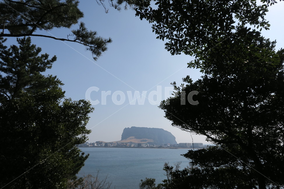제주도,성산일출봉,나무,자연,하늘,바다,자연,풍경,nature,landscape,outdoors,옥외