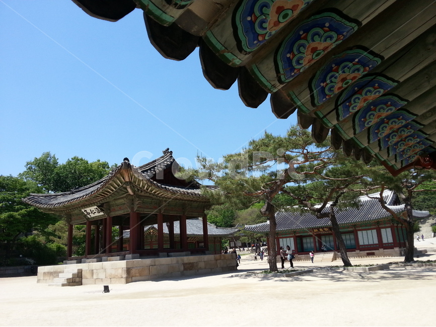 창경궁,고궁,함인정,편전,궁궐,한국전통,한국문화,korean traditional,korean culture,건축물,건물외관,exterior,building,structure,architecture,construction