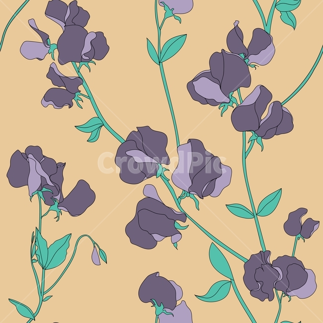 플라워,꽃,보라색,패턴,봄,초록색,flower,botanical,floral,pattern,seamless,trend,spring,nautre,자연,꽃무늬,textile,wild,sweatpea,완두콩꽃,garden,그래픽,일러스트레이션,graphic,illustration