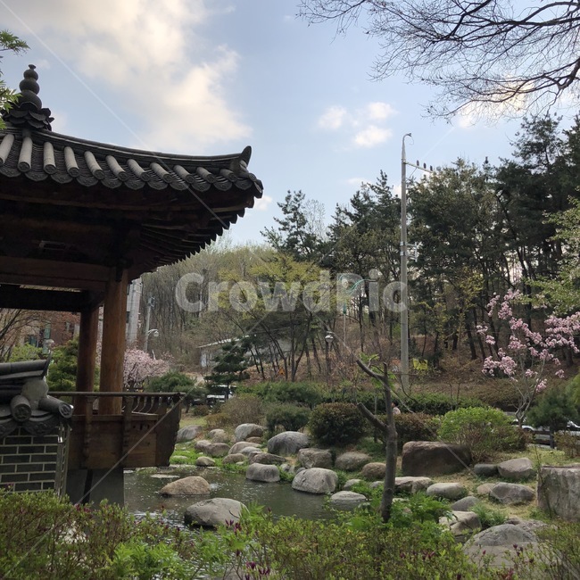 한국,korea,봄,spring,연못,봄,계절,spring,season,한국전통,한국문화,korean traditional,korean culture,architecture,건축물,building,건물,temple,신전
