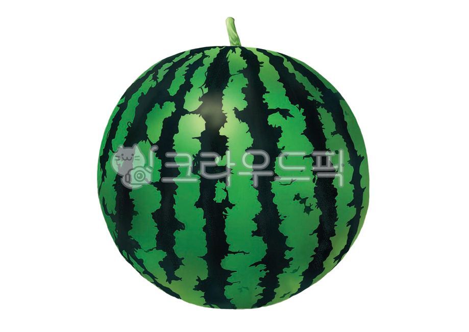 수박,수박그림,수박일러스트,수박세밀화,세밀화,과일,과일일러스트,과일세밀화,여름과일,여름,식물,그림,일러스트,손그림,디자인,그래픽,illustration,design,summer,fruit,watermelon,miniature