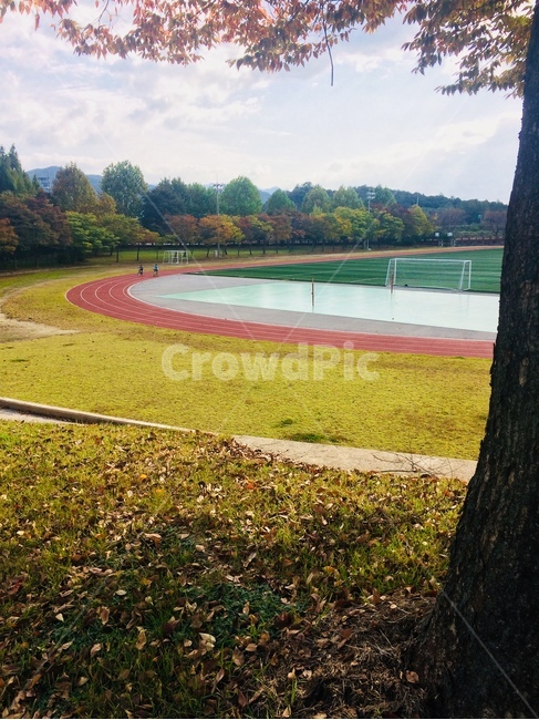운동장,나무,낙엽,풍경,교정,스포츠,레저,운동,sports,leisure,exercise
