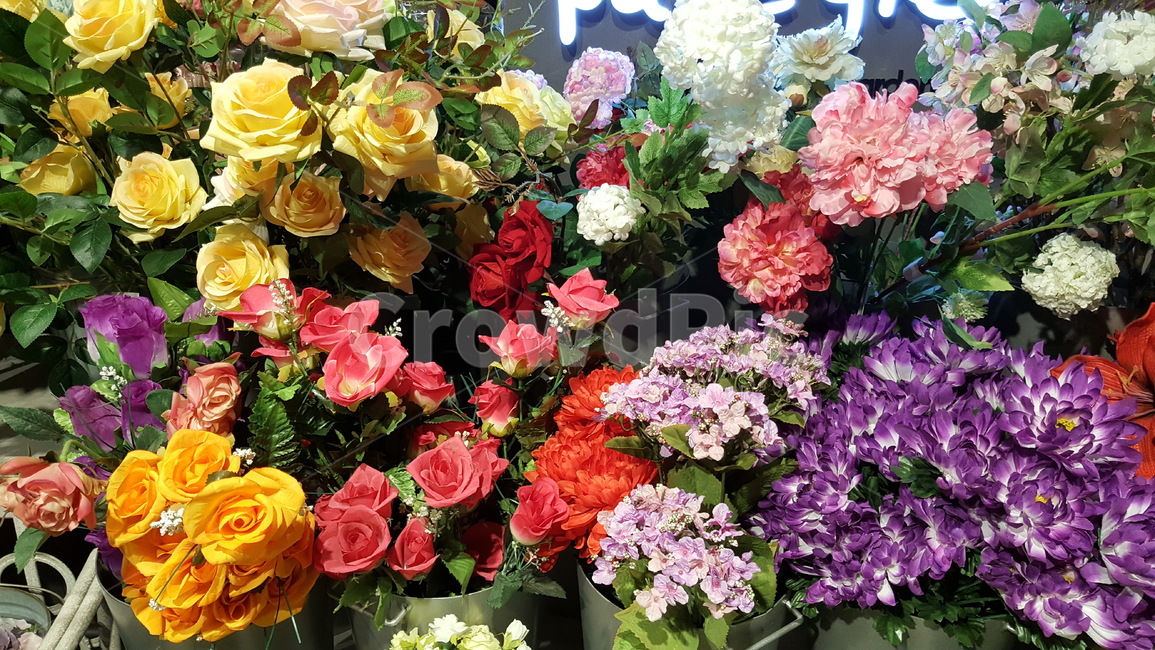 꽃,식물,화분,장식,화단,꽃다발,축하,감성,느낌,행복,식물,자연,plants,nature,꽃,flower