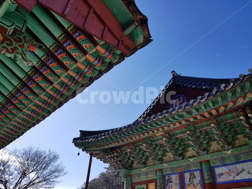 architecture,건축물,건물,temple,신전,worship,예배,shrine,신사,사찰,한국전통,한국문화,korean traditional,korean culture