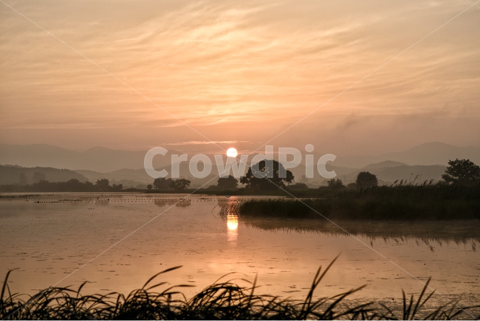 물안개,새벽,늪,일출,자연,풍경,몽환,자연,풍경,nature,landscape,한국자연풍경,한국자연경관,korea nature landscape,outdoors,옥외