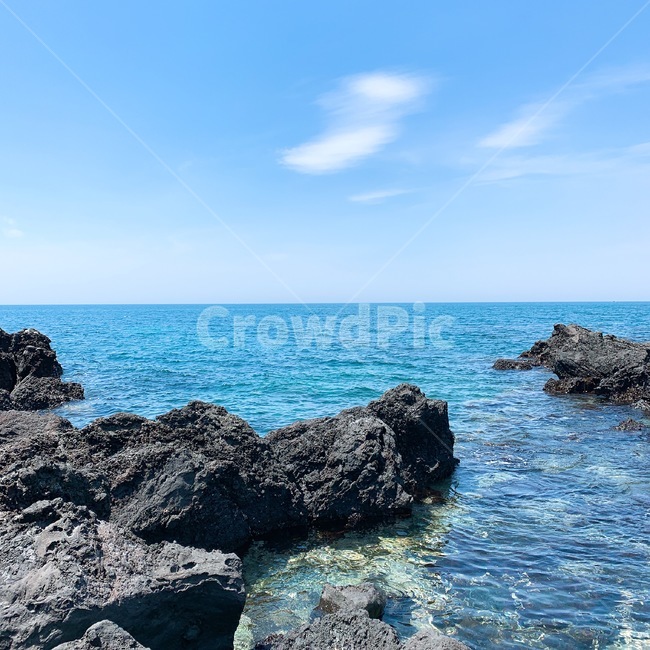 제주도,제주,바다,풍경,자연