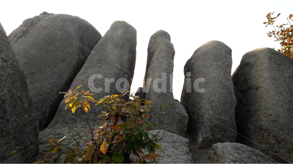 용봉산,바위,나무,가을,자연,자연,풍경,nature,landscape,rock,록