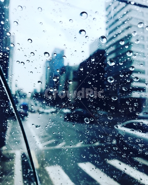 파란색,비,빗물,우산,횡단보도,감성,sensible,feeling,비,비오는날,rain,rainy,교통,교통수단,traffic,transportation