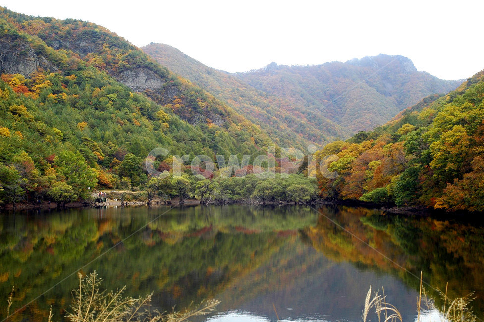 가을,단풍,주산지,주왕산,반영,저수지,가을,계절,fall,autumn,season,자연,풍경,nature,landscape,outdoors,옥외,water,물
