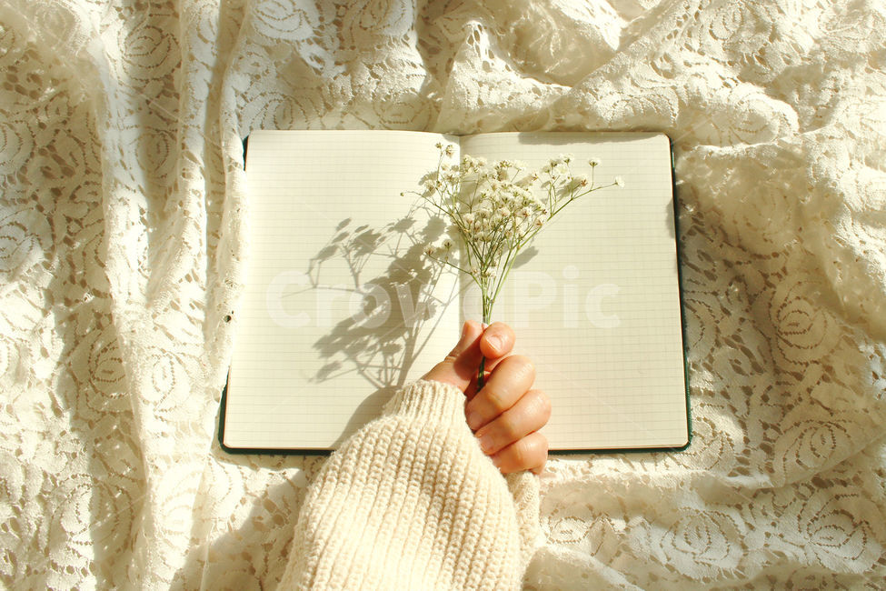 책,일기,일기장,다이어리,메모,기록,신체일부,몸,손,hand,body,diary,안개꽃,꽃,flower,레이스,꽃,flower,사람,인물,인간,human,person,신체일부,몸,body,감성,sensible,feeling,학용품,문구류,사무용품,school supplies,stationery,office supplies