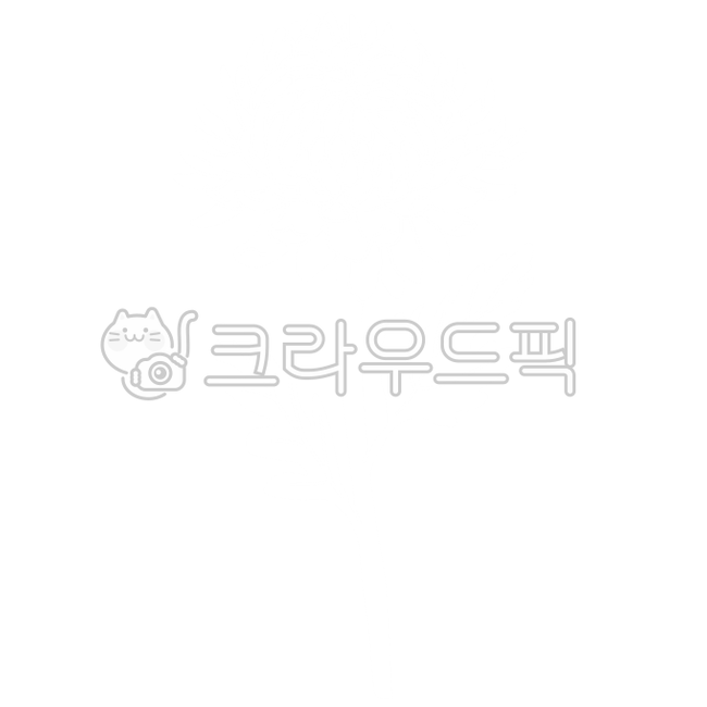 rest in peace,chrysanthemum flower,deceased,consolation,death,mourning,line drawing,chrysanthemumflower,flower,chrysanthemum painting,chrysanthemum design,chrysanthemum illustration,white chrysanthemum,chrysanthemum image,Chrysanthemum,refrain,flower illu