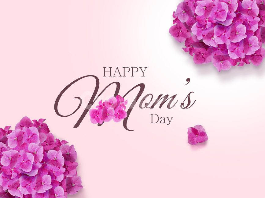 초대장,축제,파티,사랑,고백,하트,마음,웹디자인,웹템플릿,템플릿,팝업,전단지,공지,알림판,알림,홍보,광고,리플렛,쇼핑,쇼핑몰,온라인몰,할인,편지,메모,메시지,프레임,봄꽃,꽃,핑크,봄,수국,꽃송이,아름다운,시즌,꽃잎,날,계절,새롭다,상큼한,카피공간,뒷배경,맑은,자연,배경,식물,빈공간,본문,제목,이벤트,빅세일,세일,판매,투어,기획,프로모션,행사,스페셜,고마움,감사카드,효도,가정의달,부모님,기념일,축하,anniversary,congratulation,celebrate,celebration
