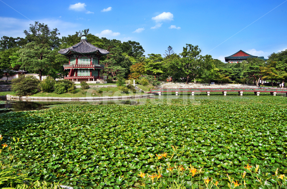 향원정,경복궁,향원지,보물제1761호,취향교,연못,고건축,고종,정자,나무다리,한국전통,한국문화,korean traditional,korean culture,랜드마크,landmark,tourist attraction,한국랜드마크,한국관광지,한국명소,korea landmark,korea tourist attraction,건축물,건물외관,exterior,building,structure,architecture,construction