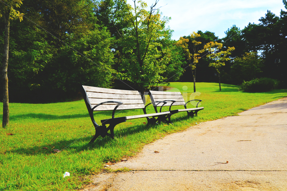 의자,나무,숲,풀,쉼,쉼터,휴식,자연,풍경,nature,landscape,bench,벤치,grass,잔디,plant,식물