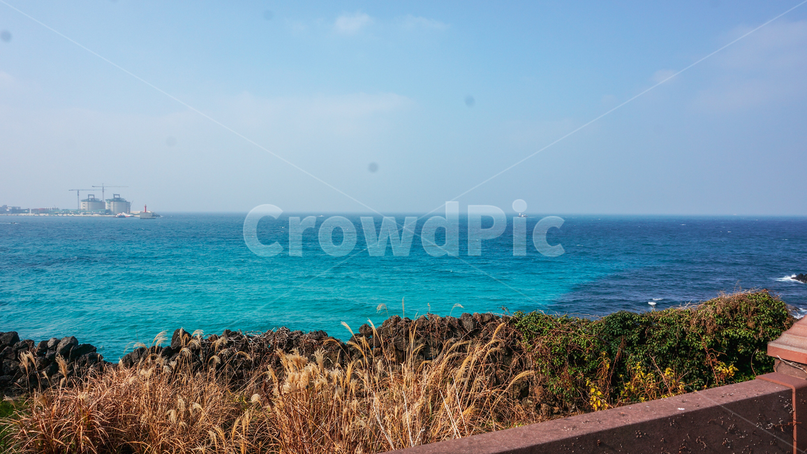바다,바다풍경,시원,파랑,하늘,겨울바다,맑은날바다,ocean,beach,cool,sky,blue
