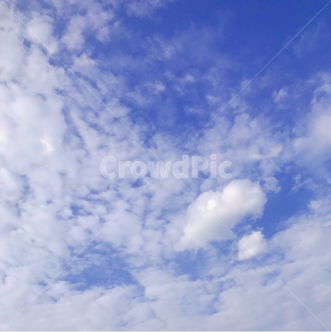 하늘,sky,푸른하늘,구름,날씨