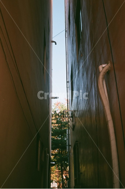 골목길,어두움,음지,벽,햇빛,나무,씁쓸,답답함,아지트,골목길,alley,handrail,난간,banister