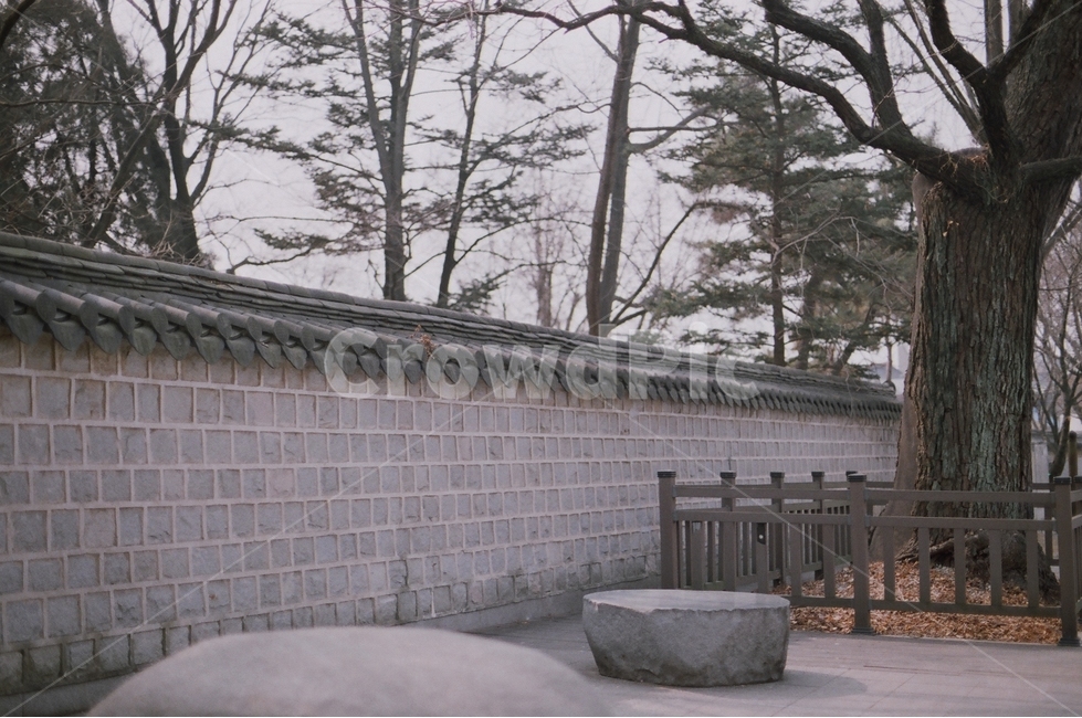 돌담길,전주,전통적,film,필름,필름카메라
