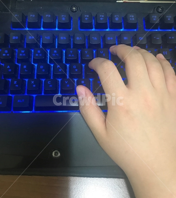 키보드,손,타자,게임중,컴퓨터할시간