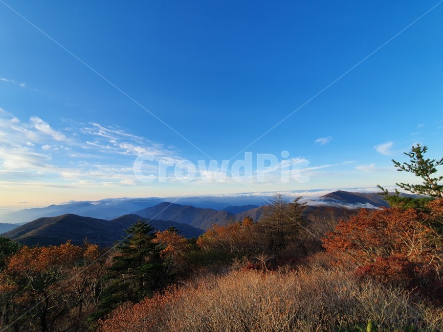 지리산,국립공원,가을,단풍,반야봉,일출,피아골,자연,풍경,nature,landscape