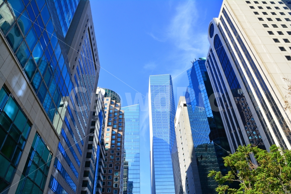 newsletter,symbol,data,catalog,For promotional purposes,construct,office,building,architectural beauty,reflect,sash,draft,Trading,stock,high rise building,group,sky,executives,edit,stock market,skyscraper,CEO,seoul,books,contents,background,paperback,Offi