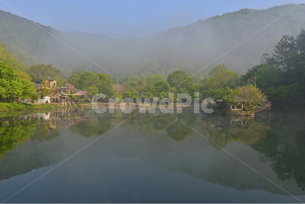 일일레져타운,물안개,배롱나무,정자,일일레져타운배롱나무,nature,자연,outdoors,옥외,water,물,저수지,자연,풍경,nature,landscape