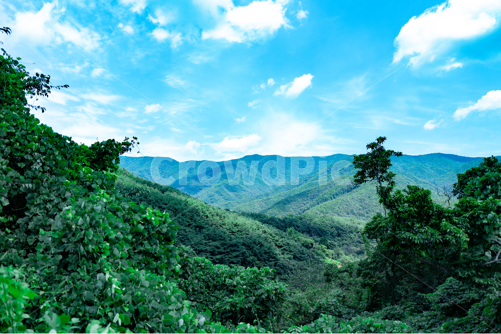 나무,산,구름,하늘,자연,옥외,언덕,hill,countryside,nature,outdoors,자연,풍경,nature,landscape
