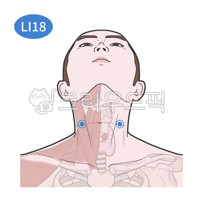 경혈, 혈자리, 침구학, 경혈학, 경락, 사진,이미지,일러스트,캘리그라피 - Nchuccida작가