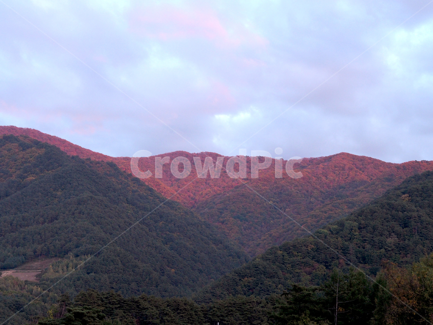 자연,풍경,단풍,가을,nature,outdoors,옥외,hill,언덕,countryside