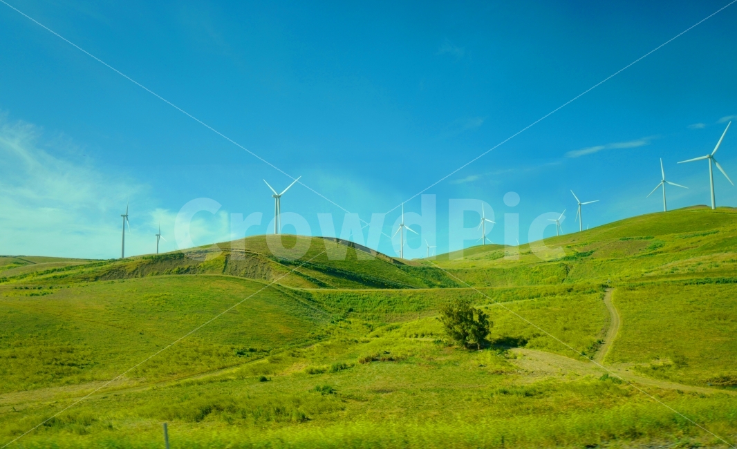 풍차,초원,언덕,하늘,자연,자연,풍경,nature,landscape,산업,industry,industrial,에너지산업,energy industry,outdoors,옥외,field,들,grassland,목초지