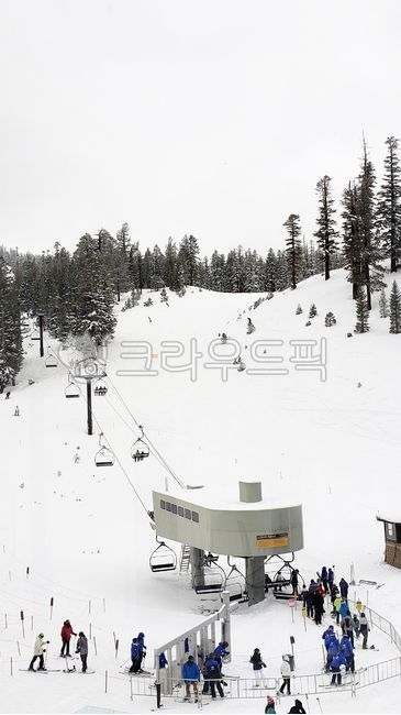 겨울,겨울스포츠,스키장,겨울산,스키리프트,winter,ski,lift,person,사람,인간,나무,fir,전나무,nature,자연,눈,스노우,snow,human,tree