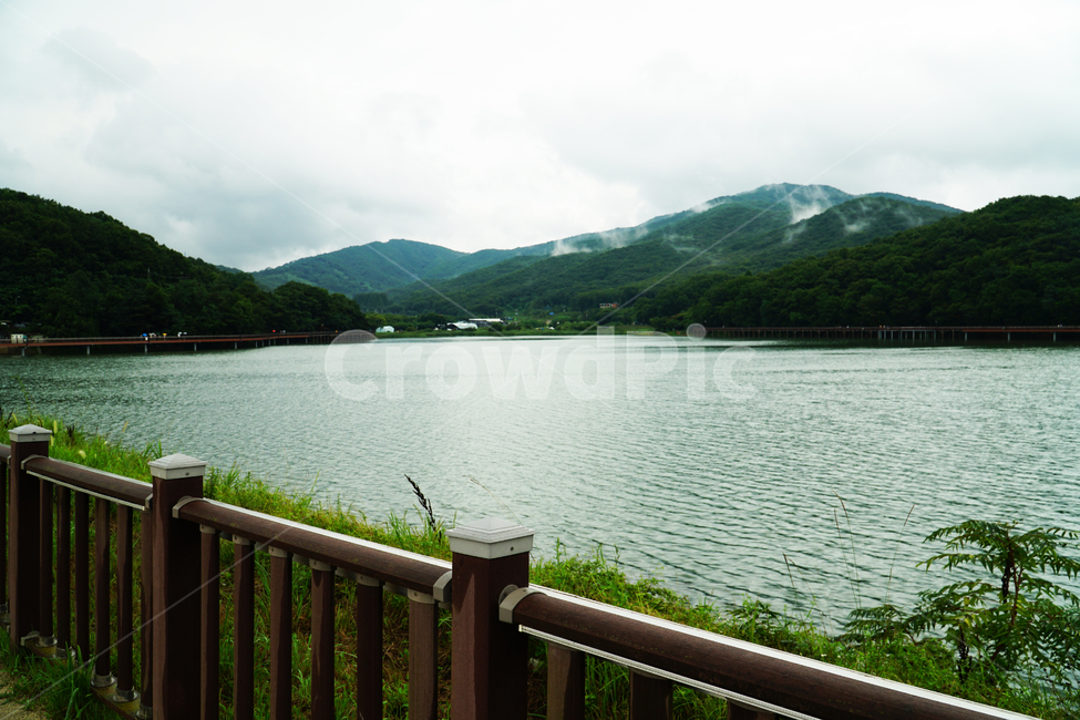 호수,백운호수,청계,연못,저수지,인공호수,청계산,백운산,모락산,둘레길,백운저수지,의왕시,의왕백운호수,풍경,자연,산,다리,물,강,산책로,산책,비,걷다,소나무,장마,way,lake,road,circumferential,mountain,rain