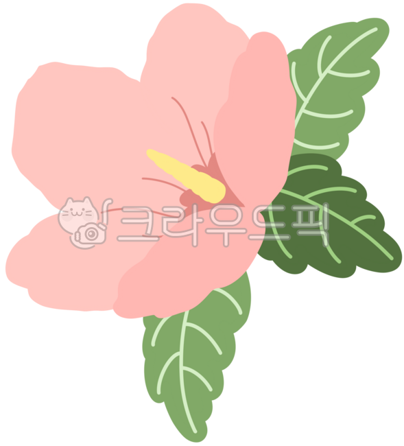 Patriotism,chrysanthemum,national flower,Rose of Sharon,Republic of Korea,pink,flower,Liberation Day,Dokdo Day,March 1st Independence Movement Day