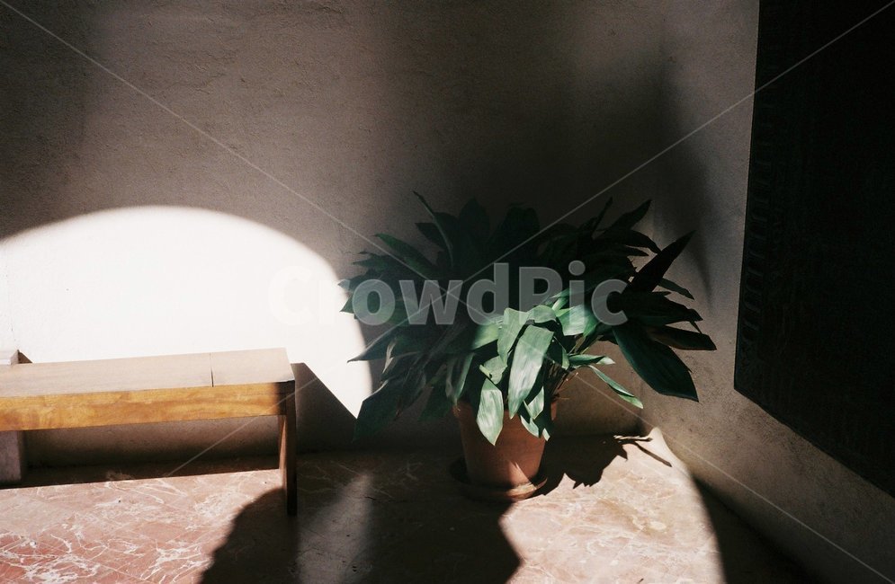 그림자,화분,풍경,스페인,자연,식물,자연,plants,nature,휴식,힐링,rest,relaxation,healing