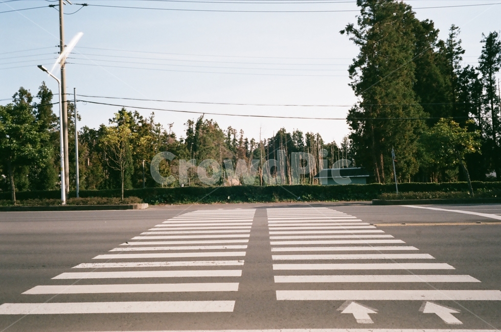 횡단보도,기다림,대기중,잠시멈춤,신호등,교통,교통수단,traffic,transportation
