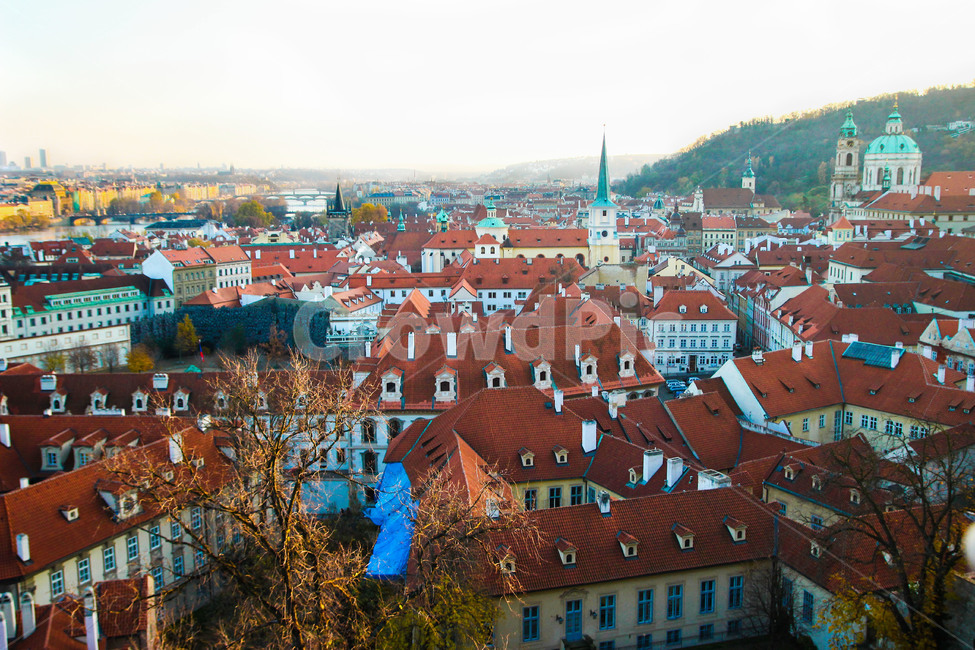 체코,프라하,유럽,동유럽,건물,건축물,도시풍경,cityscape,집,나무,여행,prague,praha,프라하풍경,해질녘,유럽사진,프라하성,겨울,계절,winter,season,도시,city,landscape,랜드마크,landmark,tourist,attraction,해외,외국,세계,foreign,oversea,world,해외도시풍경,외국도시풍경,세계랜드마크,해외랜드마크,외국랜드마,크worldlandmark,worldtourist,감성,sensible,feeling,색깔,색상,색채,색감,colo,rsense,color,sensitivity,feelingofcolo,주택,체스키,체스키크로믈로프,유럽여행,동유럽여행,여행지,관광,관광지,지붕,올드타운,중세,아름다운,동화마을,동화,붉은,주황색,구시가지,붉은지붕,여행사진,sense,colorsensitivity,feelingofcoloroutdoors,옥외,경치,nature,자연,roofscenery,도시,풍경,city,landscape,해외,외국,세계,foreign,oversea,world,세계도시풍경,해외도시풍경,외국도시풍경,world cityscape,roof,지붕